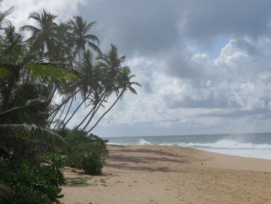 Ishitha Homestay Tangalle Bagian luar foto